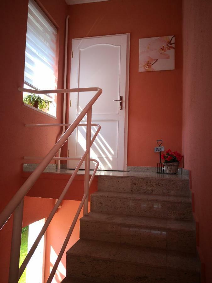 Kupola Apartman 세게드 외부 사진